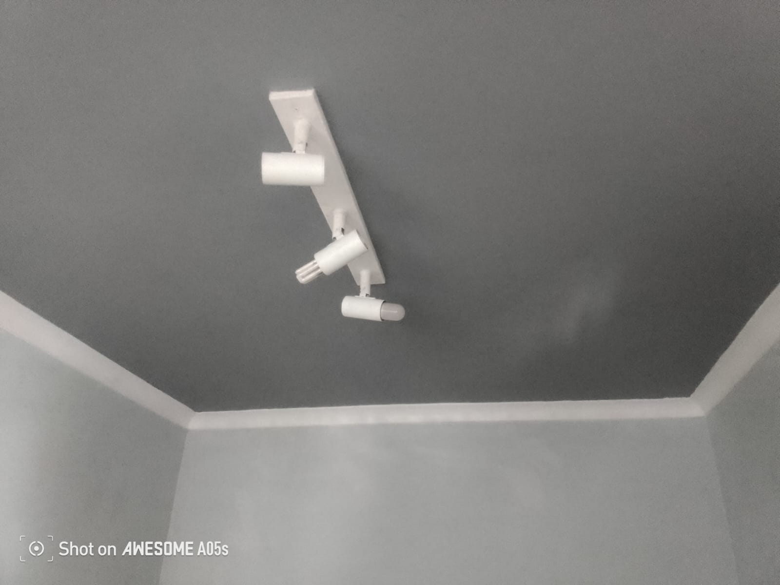 Feature wall painted soft mauve-grey above white cornice